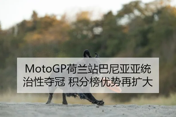 MotoGP荷兰站巴尼亚亚统治性夺冠 积分榜优势再扩大